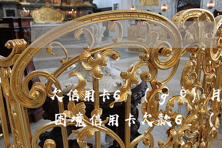 欠信用卡6個(gè)月還不上怎么辦，陷入困境：信用卡欠款6個(gè)月未還，該怎樣解決？